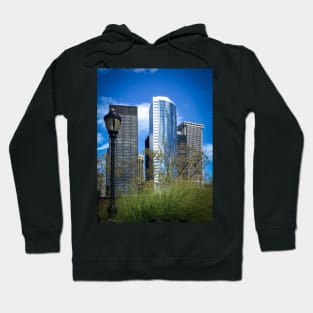 The Battery, Manhattan, NYC Hoodie